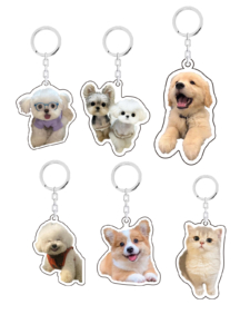 Why to Customize The Acrylic Business Keychain? 2 dog 1
