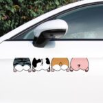 Custom Car Decals